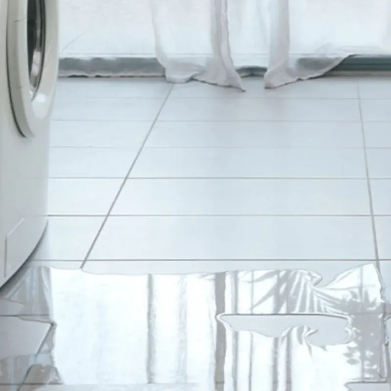Appliance Leak Cleanup in Macon, MS