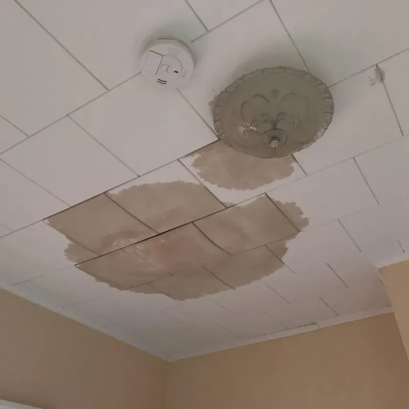 Ceiling Water Damage Repair in Macon, MS